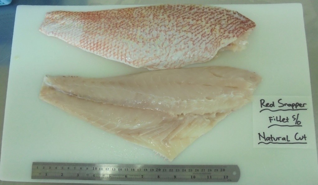 snapper-fillet.jpg